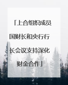 上合组织成员国财长和央行行长会议支持深化财金合作